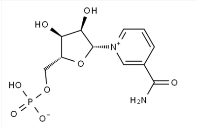 - Nicotinamide mononucleotide1094-61-7